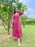 MAROON EMBRIODERY DRESS