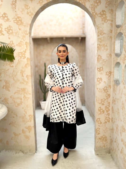 EMBROIDERED CHIC WHITE & BLACK DRESS