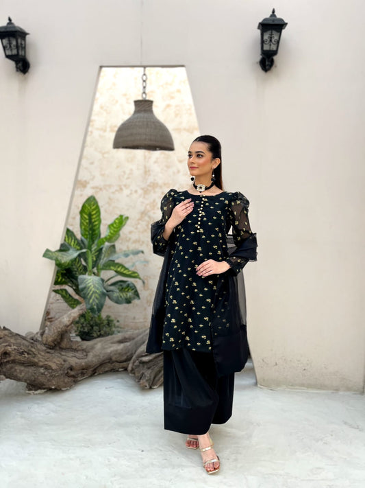 EMBROIDERED BOLD BLACK DRESS